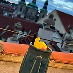 Гостевой Дом Проживание В Семье