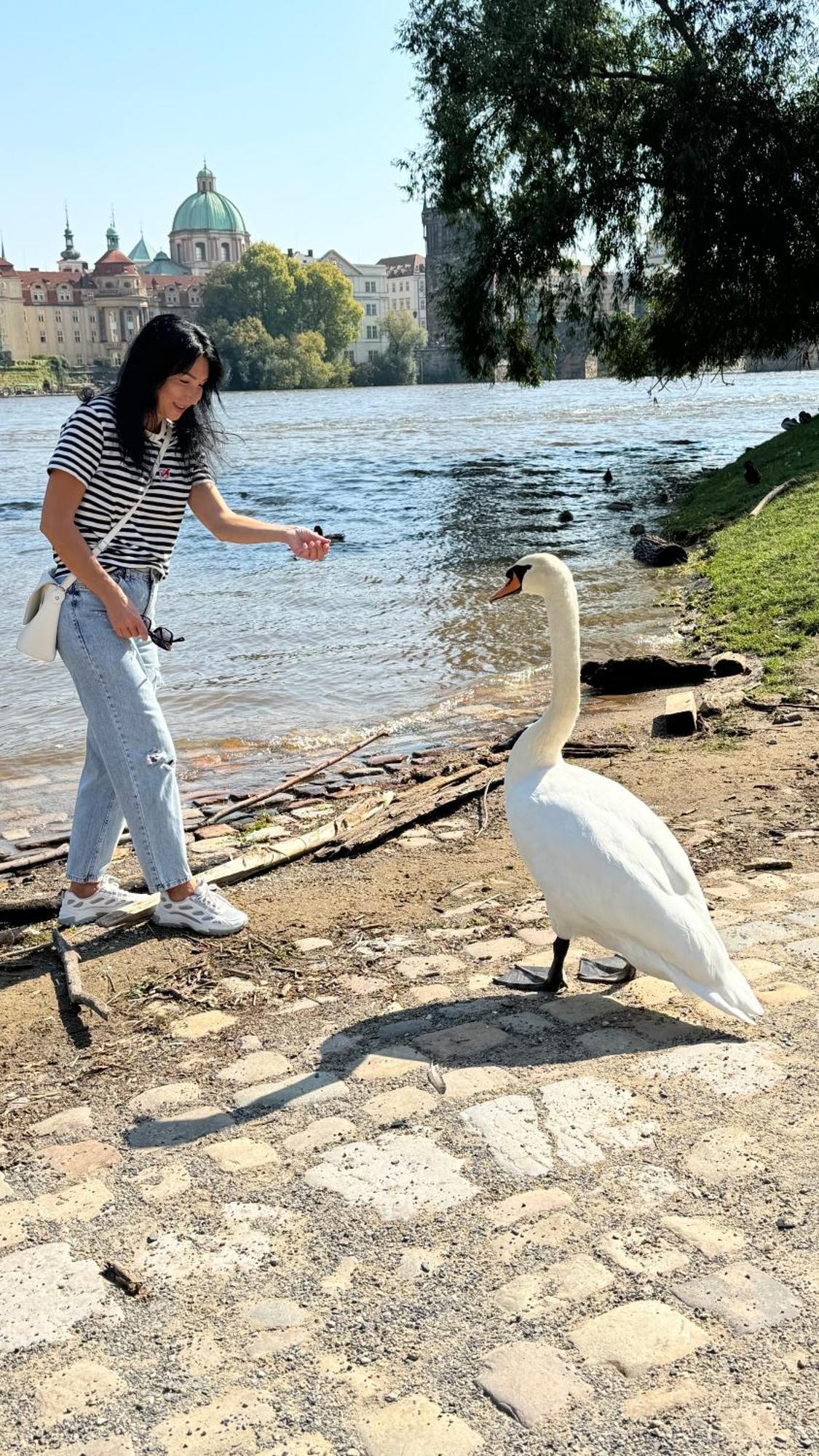 гостевой дом проживание в семье * Praga
